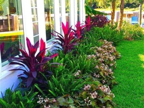 cómo hacer un jardin