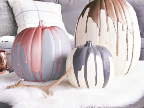 modernas calabazas