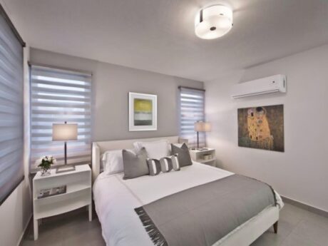 double roller shades