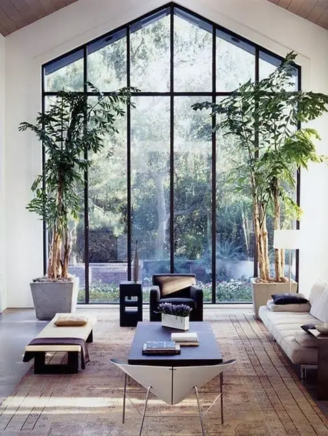 plantas de interiores, palmas, decorar con plantas