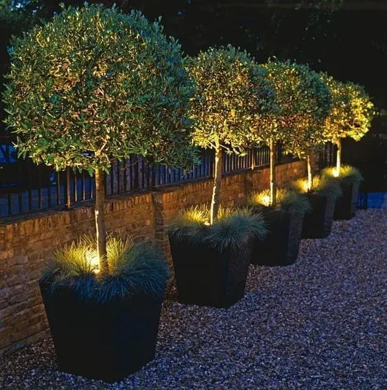 ideas para iluminar árboles en el patio
