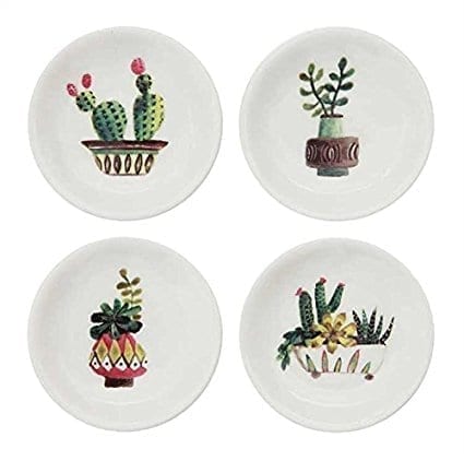Platos decorativos de cactus