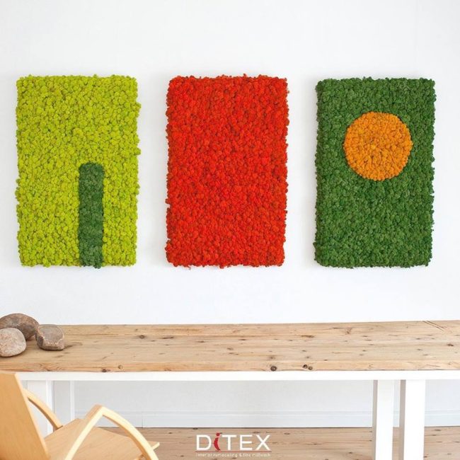 musgo decorativo