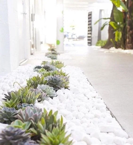 Jardines con piedras
