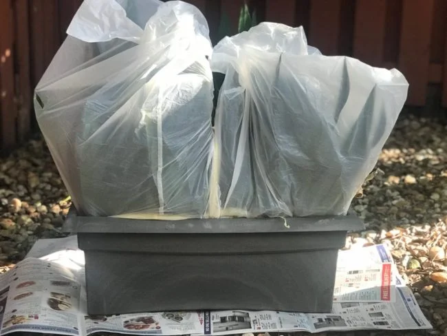 plastic planters