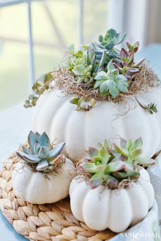 centros de mesa hechos con calabazas