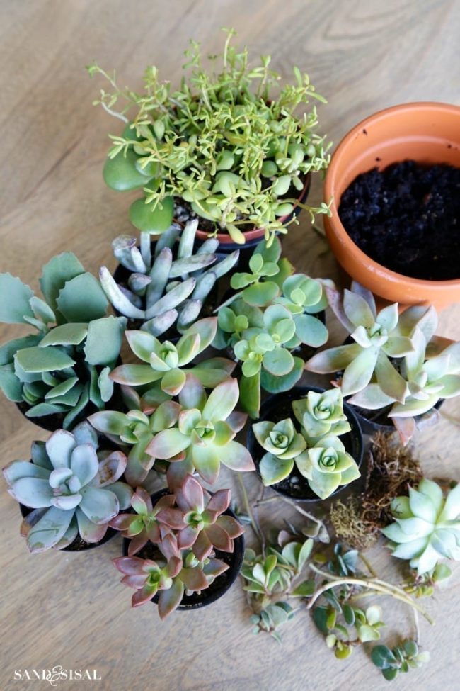 decoración otoño