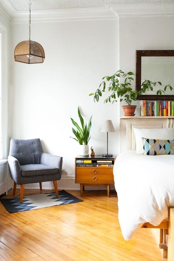 Plantas para decorar