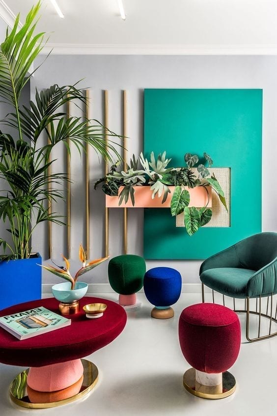 Plantas para decorar