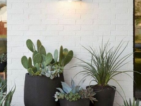 Jardines pequeños
